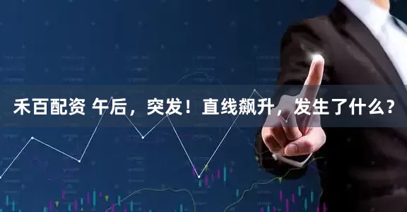 禾百配资 午后，突发！直线飙升，发生了什么？