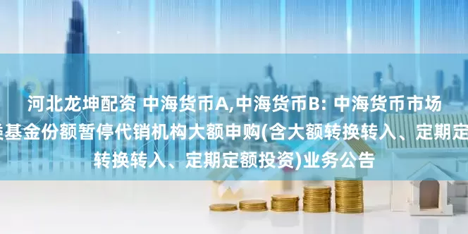 河北龙坤配资 中海货币A,中海货币B: 中海货币市场证券投资基金A类基金份额暂停代销机构大额申购(含大额转换转入、定期定额投资)业务公告