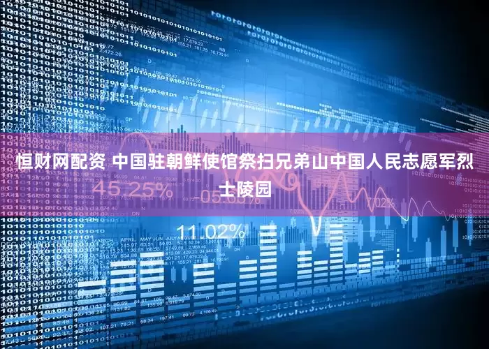 恒财网配资 中国驻朝鲜使馆祭扫兄弟山中国人民志愿军烈士陵园